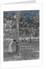 Sumatra indonesia rubber tapping woman by Anonymous