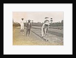 Sumatra indonesia, planting kibik (Soengai Tassik) by Anonymous