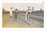 Sumatra indonesia, planting kibik (Soengai Tassik) by Anonymous