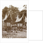 Sumatra indonesia, Padang Bovenlanden with Padi sheds by Christiaan Benjamin Nieuwenhuis