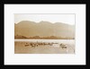 Sumatra indonesia, lake of Manindjan with native fishing boats by Christiaan Benjamin Nieuwenhuis