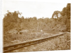 Sumatra indonesia, Anai Gorge with railway by Christiaan Benjamin Nieuwenhuis