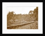 Sumatra indonesia, Anai Gorge with railway by Christiaan Benjamin Nieuwenhuis