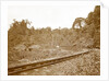 Sumatra indonesia, Anai Gorge with railway by Christiaan Benjamin Nieuwenhuis