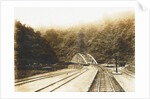 Sumatra indonesia, Anai Gorge with railway bridge by Anonymous
