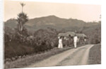 Java, Indonesia tea company Pamegatan in Garut by Anonymous