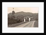 Java, Indonesia tea company Pamegatan in Garut by Anonymous