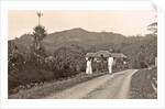 Java, Indonesia tea company Pamegatan in Garut by Anonymous