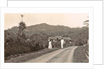 Java, Indonesia tea company Pamegatan in Garut by Anonymous