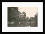Dutch East Indies, indonesia, River Deli Toewa by Anonymous