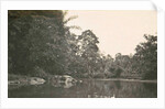 Dutch East Indies, indonesia, River Deli Toewa by Anonymous