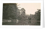 Dutch East Indies, indonesia, River Deli Toewa by Anonymous