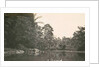 Dutch East Indies, indonesia, River Deli Toewa by Anonymous