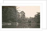Dutch East Indies, indonesia, River Deli Toewa by Anonymous