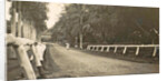 Dutch East Indies, indonesia, driveway Helvetia (Deli Mij) by Anonymous