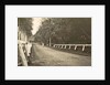 Dutch East Indies, indonesia, driveway Helvetia (Deli Mij) by Anonymous
