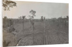 Sumatra indonesia view on tobacco field by Carl J. Kleingrothe