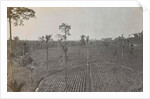 Sumatra indonesia view on tobacco field by Carl J. Kleingrothe