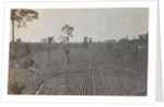 Sumatra indonesia view on tobacco field by Carl J. Kleingrothe