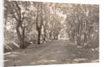 Sumatra indonesia, Medan and Amplas avenue, Indonesia by Anonymous