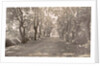 Sumatra indonesia, Medan and Amplas avenue, Indonesia by Anonymous