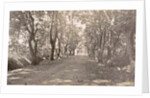 Sumatra indonesia, Medan and Amplas avenue, Indonesia by Anonymous