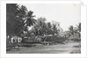 Ceylon in Colombo beach with boats and villas, Sri Lanka by Anonymous