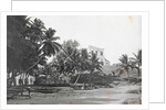 Ceylon in Colombo beach with boats and villas, Sri Lanka by Anonymous
