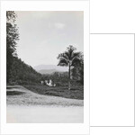 Batang Toro, Loeboek Rajah, Indonesia by Anonymous