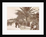 San Remo Italy by Promenade