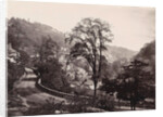 Panoramic view of houses and a road on a ridge in Matlock UK by Anonymous