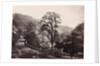 Panoramic view of houses and a road on a ridge in Matlock UK by Anonymous