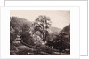 Panoramic view of houses and a road on a ridge in Matlock UK by Anonymous