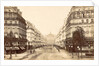 Avenue de l'Opera, seen in the direction of the Opera by Anonymous