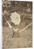 Portrait of a woman in a hammock with a parasol by Anonymous