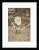 Portrait of a woman in a hammock with a parasol by Anonymous