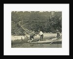 Three men in a rowboat by Anonymous