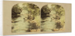 Dargle Bridge, County Wicklow, Ireland by The London Stereoscopic Company