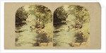 Dargle Bridge, County Wicklow, Ireland by The London Stereoscopic Company