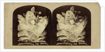 Beautiful in Death by The London Stereoscopic Company