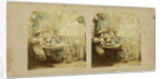 The Ghost in the stereoscope by The London Stereoscopic Company