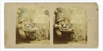 The Ghost in the stereoscope by The London Stereoscopic Company
