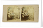 The Ghost in the stereoscope by The London Stereoscopic Company