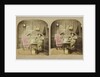 The Ghost in the Stereoscope by Anonymous