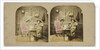 The Ghost in the Stereoscope by Anonymous