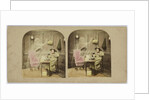 The Ghost in the Stereoscope by Anonymous