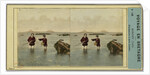 Roscoff Finistere France, Fishermen in low water by Anonymous