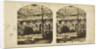 View in the Egyptian Court, Crystal Palace, Sydenham by The London Stereoscopic Company