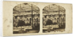 View in the Egyptian Court, Crystal Palace, Sydenham by The London Stereoscopic Company