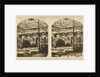 View in the Egyptian Court, Crystal Palace, Sydenham by The London Stereoscopic Company
